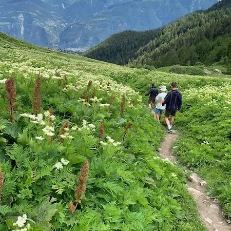 Domek alpejski Ovronnaz, Le Vieux Mazot *